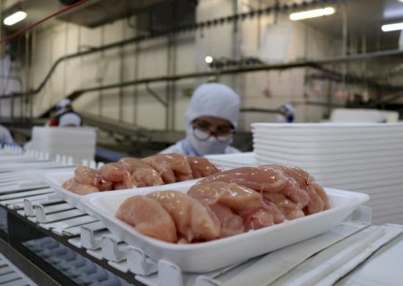 Brasil amplia mercados para carne de aves com retirada de restrições sanitárias