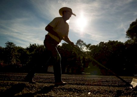 Agro gera mais empregos e reduz dependência do Bolsa Família