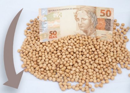 Preços da soja continuam impactados por relatório do USDA; veja cotações