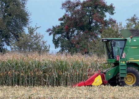Colheita de milho avança 8,5 pontos porcentuais e alcança 83,7% da área