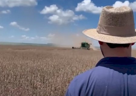 Custos de produção elevados preocupam produtores de soja
