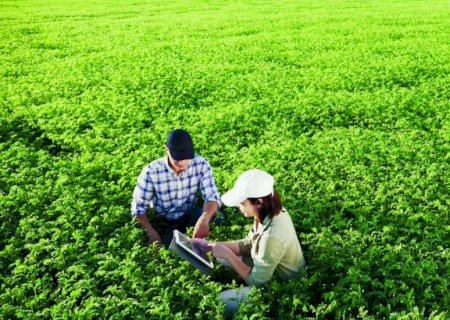 Agro busca protagonismo na COP 30 com soluções para clima, uso da terra e agricultura sustentável