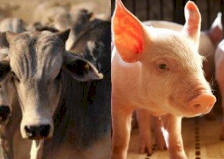 Compra argentina de carne no Brasil dispara e sobe 724% no ano