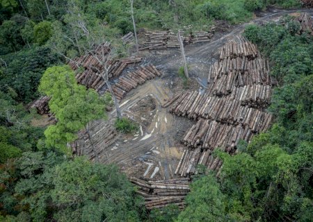 Desmatamento ilegal e invasão de terras não são culpa do agro, diz ex-ministro