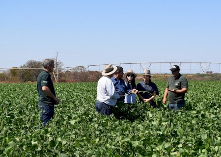Soja convencional brasileira atrai interesse da Coreia do Sul para produção de alimentos