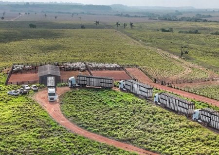 STF impede cobrança retroativa de ICMS e traz alívio ao agro