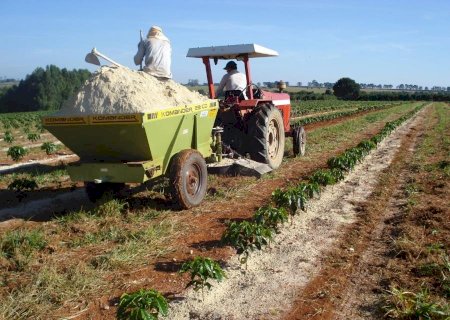 Prefeitura de Batayporã cria Programa de Distribuição de Gesso para a Agricultura Familiar