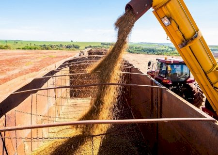 Importação chinesa de soja sobe 1,2% em agosto