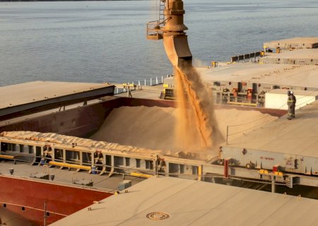 Alta do farelo de soja marca reação no mercado internacional
