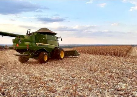 MS perde posição no ranking com queda inédita no valor da produção agrícola