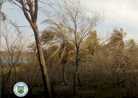 Angélica-Incêndio de grandes proporções em fazenda resulta em multa de mais de 4 milhões