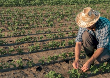 Programa do governo fortalece equidade na agricultura familiar