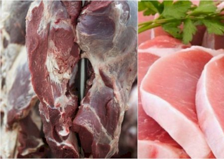 Exportações de carne bovina e suína têm alta de 24%