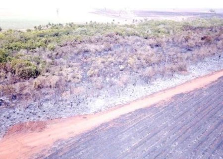 Incêndio em colheita de cana destrói mata e gera multa de R$ 4,8 milhões