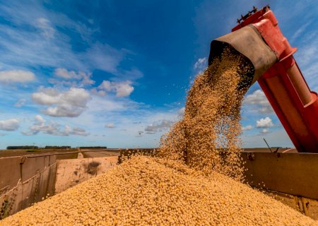 Super safra brasileira atinge 350 milhões de toneladas e expõe dilemas da economia