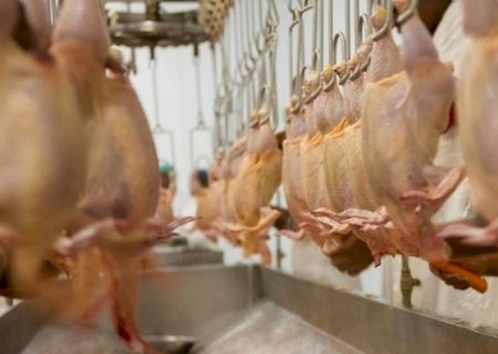 União Europeia reabre mercado para carne de frango e de peru do Brasil
