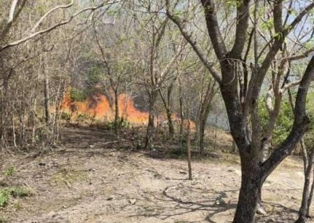 Incêndio em áreas turísticas de Bodoquena chega ao 3º dia de combate