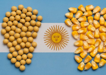 Argentina zera temporariamente imposto sobre exportação de grãos e carnes