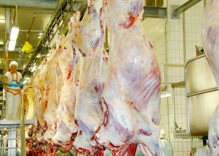 Mesmo com queda nas exportações para os EUA, produtos de MS mantêm ritmo de crescimento no mercado internacional