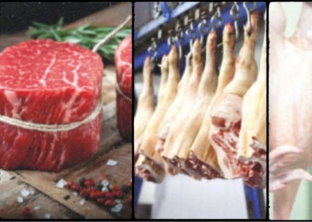 Produção de carnes bate novo recorde histórico em 2026