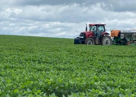 Pedidos de recuperação judicial no agro bateram recorde no segundo trimestre