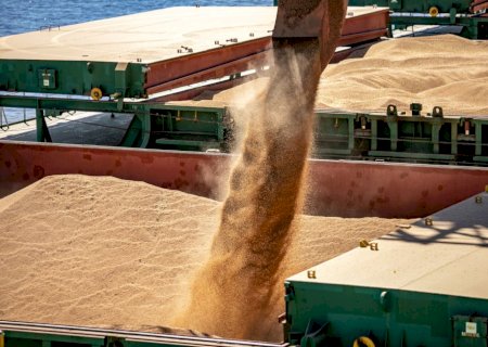 Demanda internacional impulsiona negociações do farelo de soja no Brasil