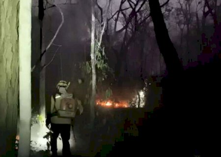 Incêndios completam 12 dias com mais de 20 mil hectares atingidos