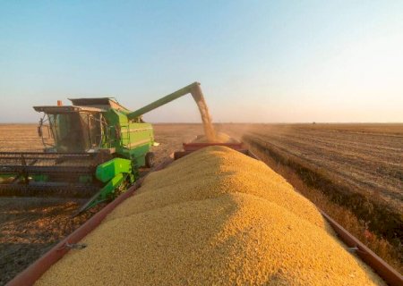 Plantio da soja avança devagar e cobre menos de 4% da área em MS