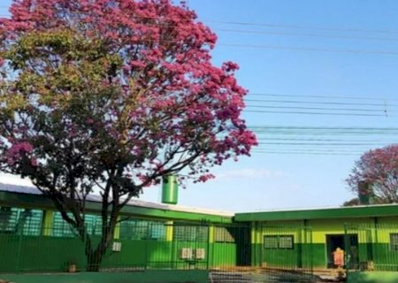 Zé Teixeira apresenta indicações para fortalecer educação em Dourados