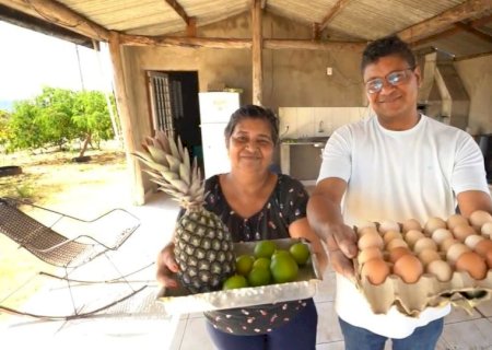 Diversificação de culturas fortalece a agricultura familiar