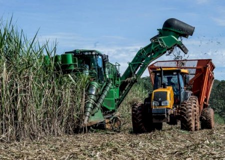 Moagem de cana tem leve alta na primeira quinzena de outubro