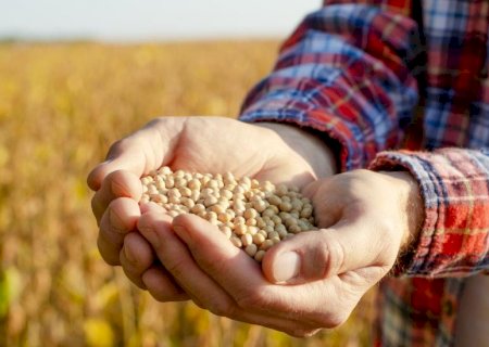 Mato Grosso do Sul registra saldo positivo de US$ 6,3 bilhões na balança comercial de 2025