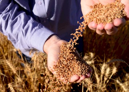 Pirataria e falsificação: o inimigo invisível do agro
