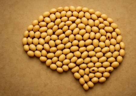 Como ficaram os preços de soja com a volta dos EUA ao cenário da oleaginosa?