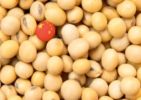 China não está abastecida e precisa da soja dos EUA, diz chefe do USDA