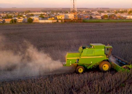 Quatro municípios de MS estão entre os 20 maiores do agro nacional