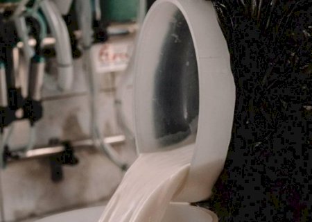 Preço do leite ao produtor cai 19% em um ano
