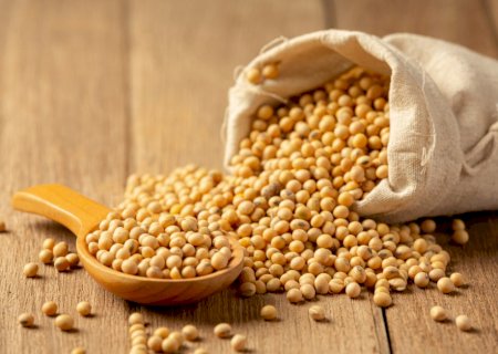 Soja brasileira mira mercado de carnes vegetais e novas oportunidades de consumo