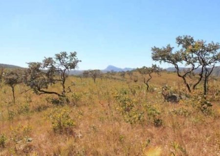 MS preserva só 25% do Cerrado e está entre os que menos conservam o bioma