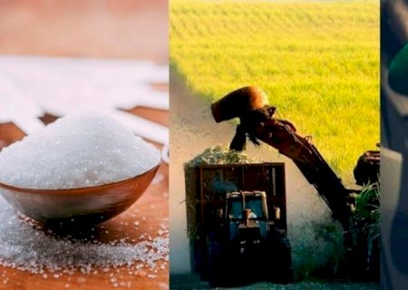 Perda da competitividade do açúcar ante etanol no interior do Brasil