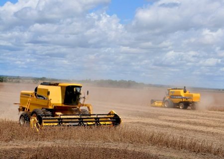Celeiro para o mundo: MS se consolida como estado exportador de produtos para mais de 120 países