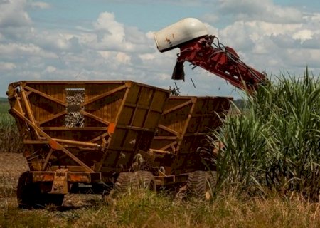 Oferta de etanol deve subir e derrubar preços em 2026