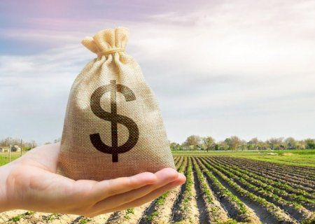 Contratações de crédito rural caem 18,5% até setembro