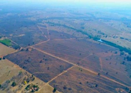 Empresa é multada em R$ 3,9 milhões por incêndio que devastou 2 mil hectares