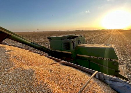 Milho impulsiona exportações de Mato Grosso do Sul em setembro