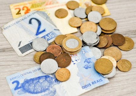 Com comercialização lenta, soja registra estabilidade nos preços e pouco movimento
