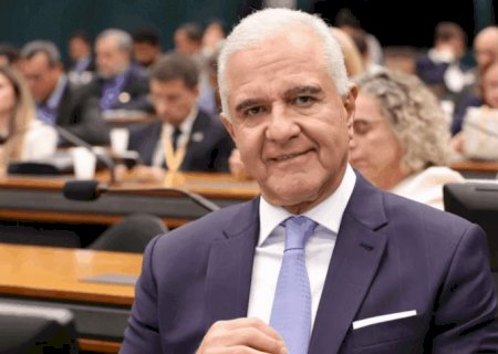 Deputado solicita convocação de árbitro do VAR de Palmeiras x São Paulo