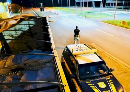 PRF apreende 9 toneladas de agrotóxicos em Eldorado