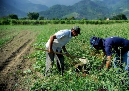 Lei que amplia acesso de agricultores familiares ao Garantia-Safra é sancionada