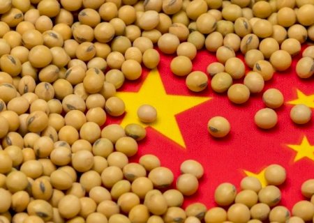 China ajuda os EUA, mas tarifas de 13% mantêm vantagem da soja brasileira